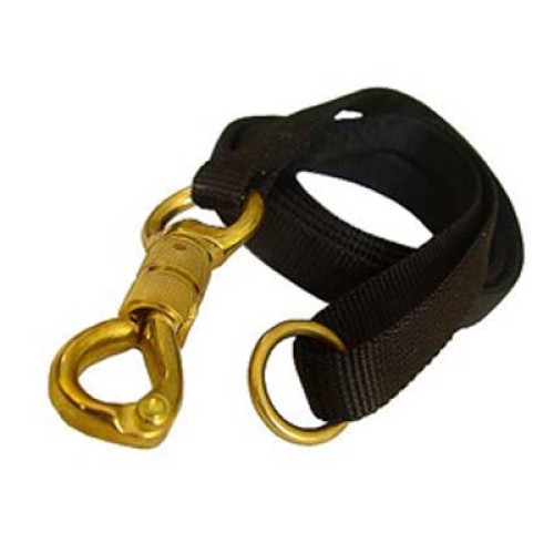 Dog Leads